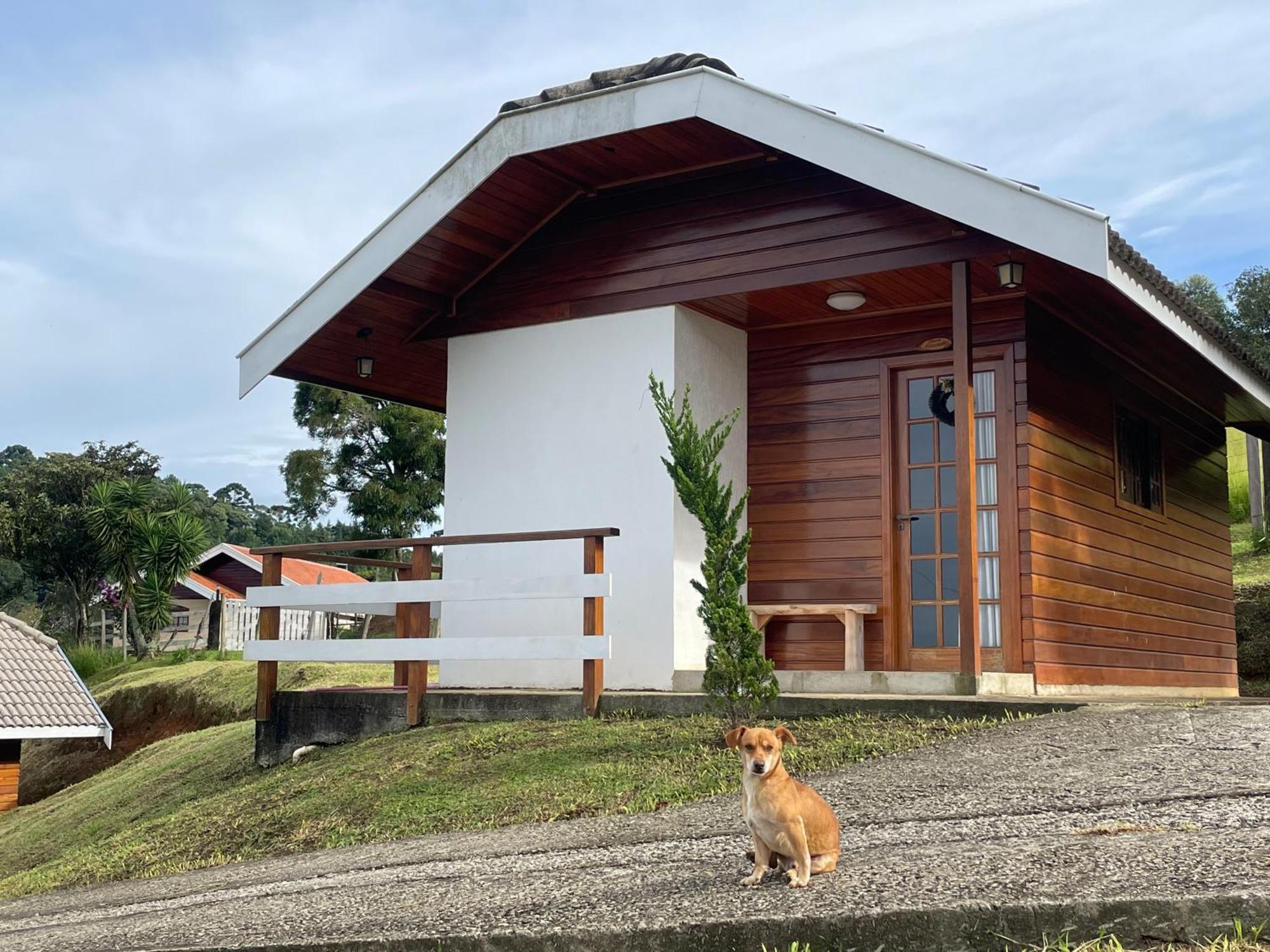 Chale Amanhecer Hotell Santo Antônio do Pinhal Eksteriør bilde